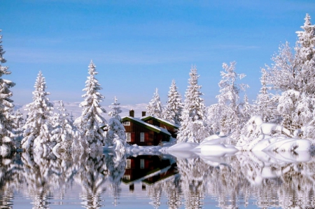 Winter - snow, lake, winter, cabin