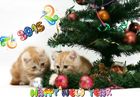 *** Happy New Year *** - kittens, greetings, New Year, cats, animals