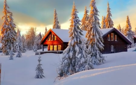 Cottage in the mountains - cottage, landscape, winter, wallpaper, mountains, nature, hd, forest, snow, house, scene