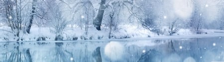 Winter Snowfall - Snow, Nature, Cold, Winter, HD