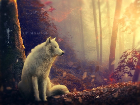 Autumn Heart - fantasy, forest, wolf, autumn