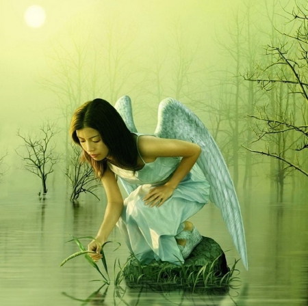 Beautiful angel - beauty, girl, angel, magical, water, wings, colorful, lovely, beautiful, green