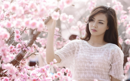 Asian beauty - girl, trees, pretty, asian