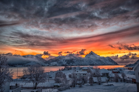 December Daylight, North Norway - houses, sky, trees, winter, mountains, sunset, white, town, yellow, red, snow, beautiful, clouds, fjord