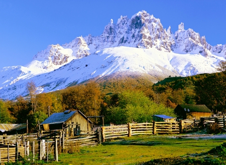 Snowy Mountains - farm, fence, trees, chile, snowy peaks, patagonia, mount castillo, beautiful, grass, sunny day