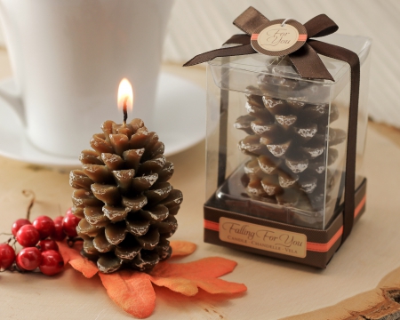 Falling For You â™¥ - home, holidays, pine cone, candles, winter, decor