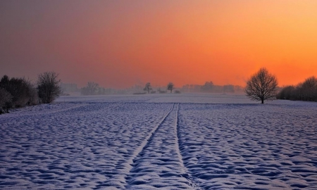 Winter Sunset - winter, amazing, sunset, snow