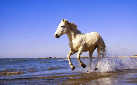 Am Strand - pretty, beauty, pictures, cool