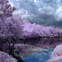 Beautiful Sky over Japanese Landscape