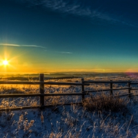 Frozen Field