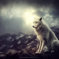 Wolf and Winter