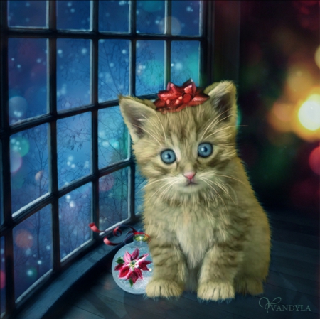 Waiting for Santa - cat, animal, fantasy, art