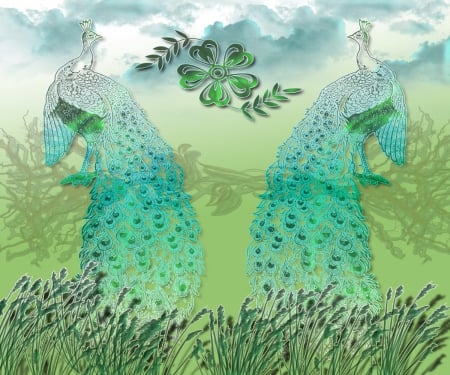 Fantasy Peacock Couple - nature, peacock, decorative, bird