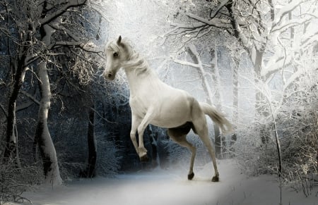 Winter Fantasy â™¥ - white, horse, animal, fantasy, winter, art