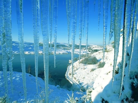 View through the Icicles - snow, winter, nature, icicles