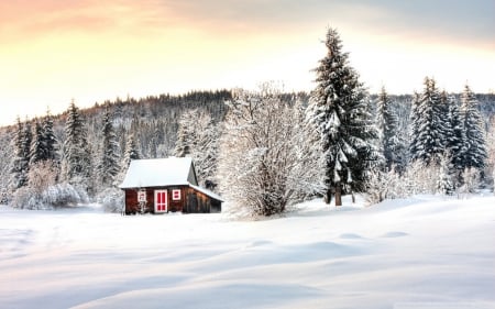 Silent Winter Day - firs, landscape, trees, cabin, snow