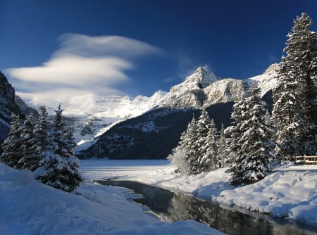 Winter Landscape at Lake Louise - firs, alberta, cloud, snow, canada, mountains