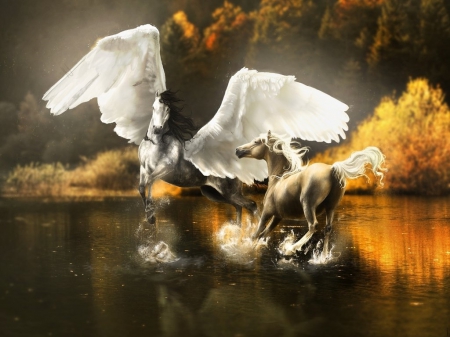 Fantasy Horses - horses, wings, fantasy, graphics