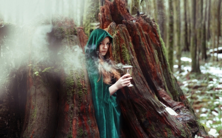 ~Witch in the Woods~ - woman, nature, witch, hooded, female, magic, fantasy