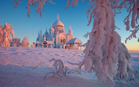 Winter - winter, cold, trees, snow