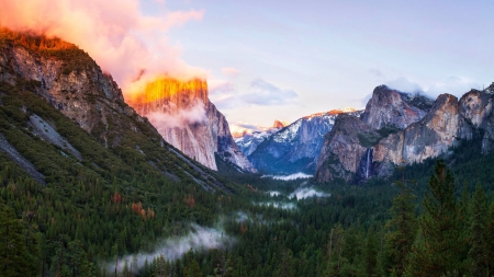 Yosemite Mountains - forest, usa, national park, landscape, trees, mist