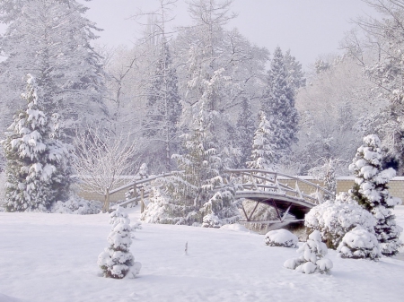 Winter view - winter, park, arboretum, bridge, garden