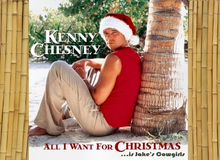 Kenny's Wish - style, holidays, country, christmas, famous, fun, singer, music, kenny chesney