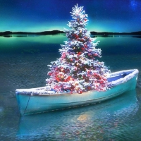 â˜…Xmas & New Year in Boatâ˜…
