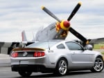 A Pair of Mustangs