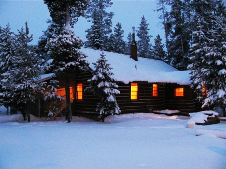 Log Cabin in Winter - evening, firs, light, forest