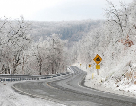 Wintry Road - nature, trees, snow, winter, roads