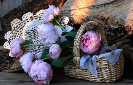 Still life - photography, sun, basket, still life, nature, peonies, sun hat, abstract, pink, petals, flowers, natural