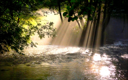 SUN BEAMS - river, beams, rays, forest, sun