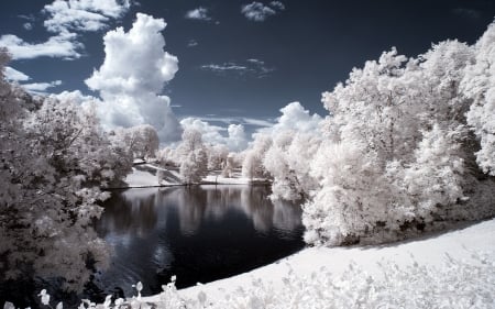 Winter River - sky, trees, clouds, snow, river, water, winter