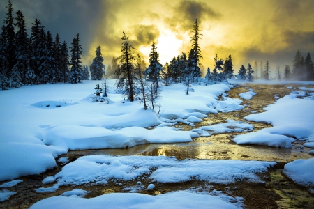 Winter Creek - firs, sky, clouds, snow, water, sunset