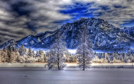 Blue Winter - clouds, trees, landscape, snow, mountain