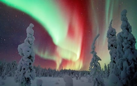 Winter - snow, winter, top, sunset, mist