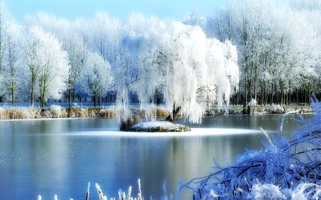 Winter - lake, forest, snow, winter, water