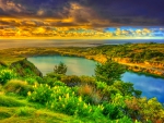 Sunrise On The Flowered Coast