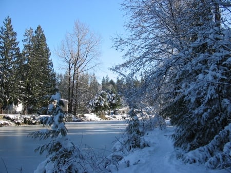 The secret path - path, Snow, trees, winter