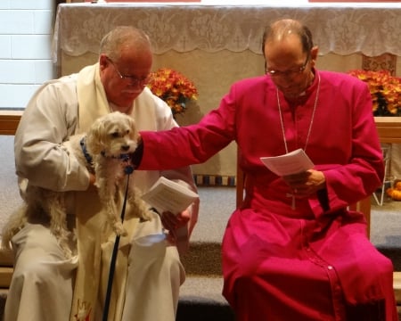 The Blessing - dogs, blessing, prayer, church