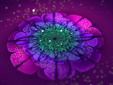 Violette - purple, fractal, pink, abstract