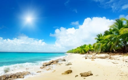 Beach - beach, sands, sky, nature