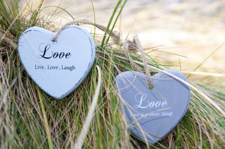 Love - love, hearts, heart, words, grass