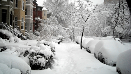 Lovely Winter - snow, street, cars, winter