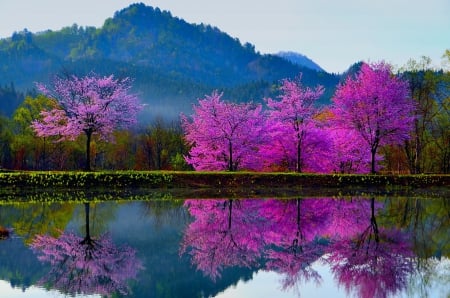 SPRING REFLECTION - lake, spring, nature, mountain