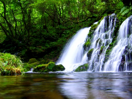 FOREST WATERFALLS - nature, waterfalls, forest, river