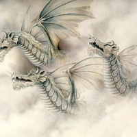 DRAGONS