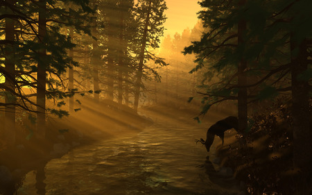 FOREST IDYLL - river, trees, sunset, thirst, quench, reflexion, forest, reindeer