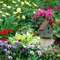 Bird House Garden